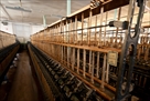 Spinneriet